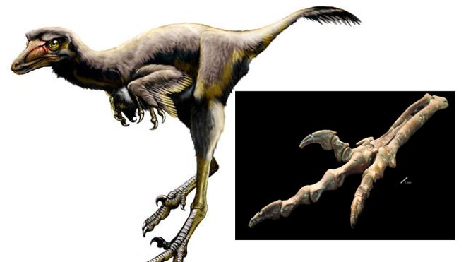 talos-raptor-dinosaur clean